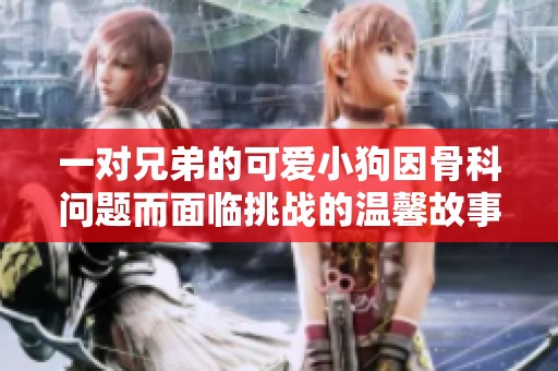 一对兄弟的可爱小狗因骨科问题而面临挑战的温馨故事