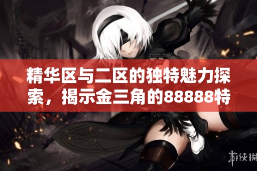 精华区与二区的独特魅力探索，揭示金三角的88888特色优势