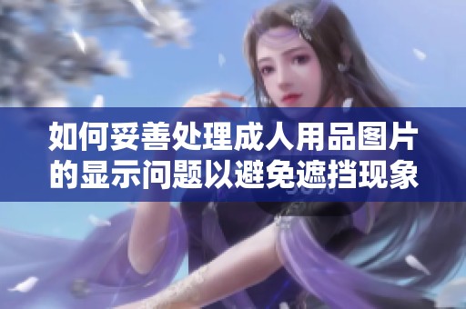 如何妥善处理成人用品图片的显示问题以避免遮挡现象