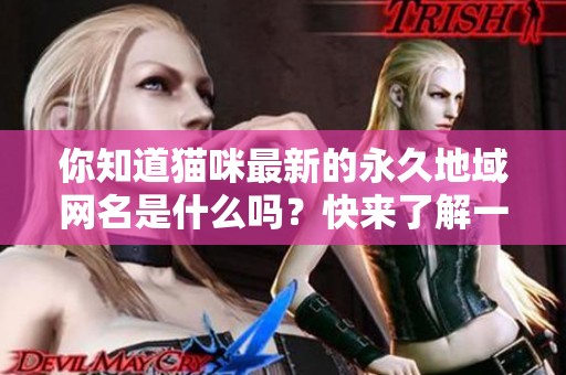 你知道猫咪最新的永久地域网名是什么吗？快来了解一下吧！