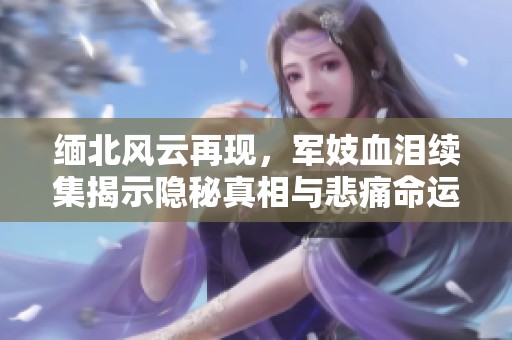 缅北风云再现，军妓血泪续集揭示隐秘真相与悲痛命运