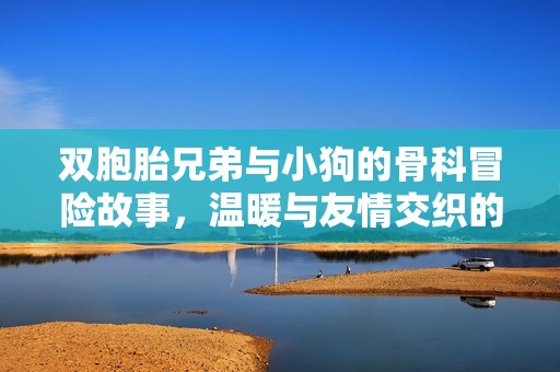 双胞胎兄弟与小狗的骨科冒险故事，温暖与友情交织的旅程