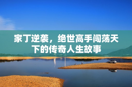 家丁逆袭，绝世高手闯荡天下的传奇人生故事