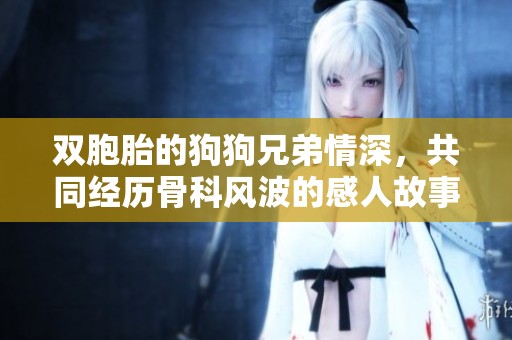 双胞胎的狗狗兄弟情深，共同经历骨科风波的感人故事