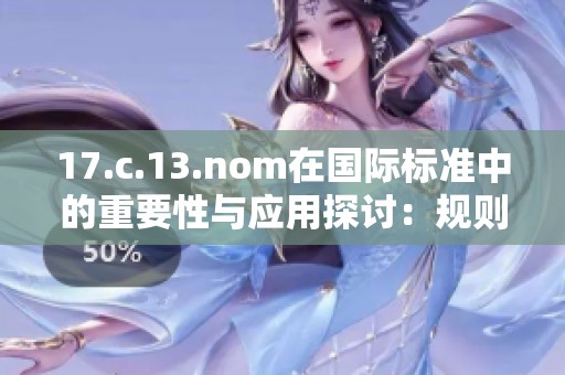 17.c.13.nom在国际标准中的重要性与应用探讨：规则与实践的深度解析