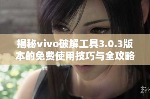 揭秘vivo破解工具3.0.3版本的免费使用技巧与全攻略
