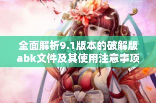 全面解析9.1版本的破解版abk文件及其使用注意事项