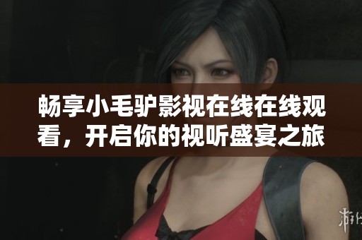畅享小毛驴影视在线在线观看，开启你的视听盛宴之旅