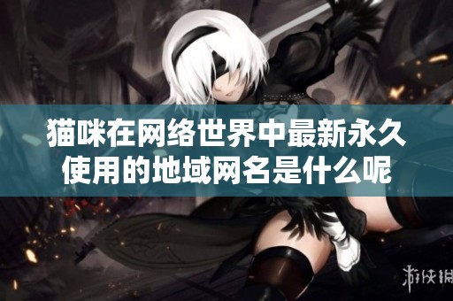 猫咪在网络世界中最新永久使用的地域网名是什么呢
