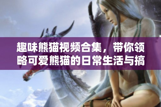 趣味熊猫视频合集，带你领略可爱熊猫的日常生活与搞笑瞬间