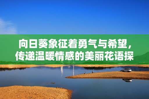 向日葵象征着勇气与希望，传递温暖情感的美丽花语探索