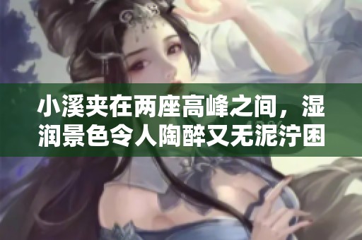 小溪夹在两座高峰之间，湿润景色令人陶醉又无泥泞困扰