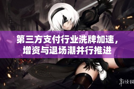 第三方支付行业洗牌加速，增资与退场潮并行推进