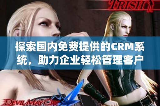 探索国内免费提供的CRM系统，助力企业轻松管理客户关系