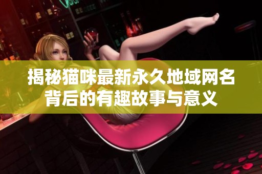 揭秘猫咪最新永久地域网名背后的有趣故事与意义