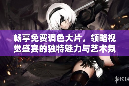 畅享免费调色大片，领略视觉盛宴的独特魅力与艺术氛围