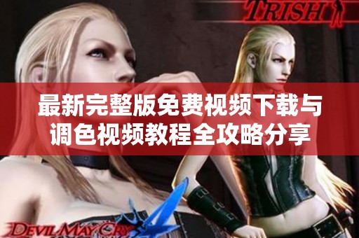 最新完整版免费视频下载与调色视频教程全攻略分享