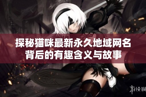 探秘猫咪最新永久地域网名背后的有趣含义与故事