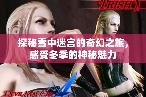 探秘雪中迷宫的奇幻之旅，感受冬季的神秘魅力