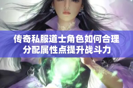 传奇私服道士角色如何合理分配属性点提升战斗力