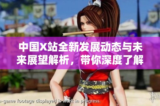中国X站全新发展动态与未来展望解析，带你深度了解行业趋势