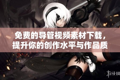 免费的导管视频素材下载，提升你的创作水平与作品质量