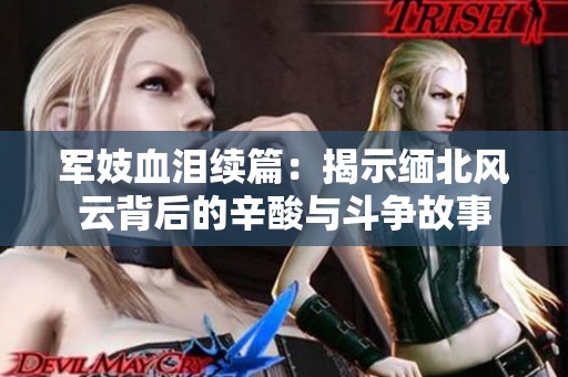 军妓血泪续篇：揭示缅北风云背后的辛酸与斗争故事