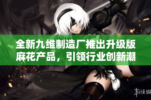全新九维制造厂推出升级版麻花产品，引领行业创新潮流