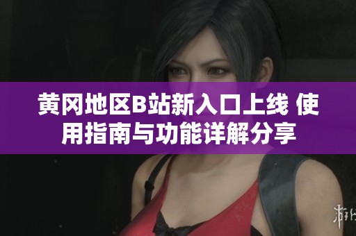 黄冈地区B站新入口上线 使用指南与功能详解分享