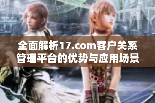 全面解析17.com客户关系管理平台的优势与应用场景