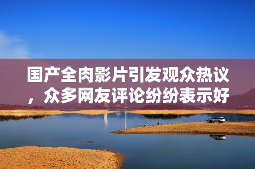 国产全肉影片引发观众热议，众多网友评论纷纷表示好评如潮