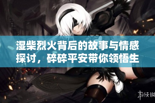 湿柴烈火背后的故事与情感探讨，碎碎平安带你领悟生活哲理