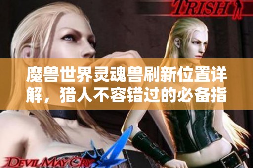 魔兽世界灵魂兽刷新位置详解，猎人不容错过的必备指南