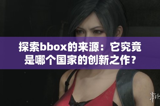 探索bbox的来源：它究竟是哪个国家的创新之作？