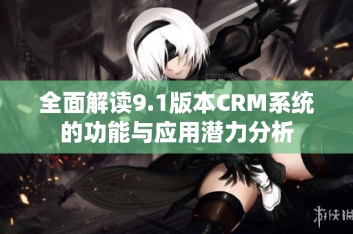全面解读9.1版本CRM系统的功能与应用潜力分析