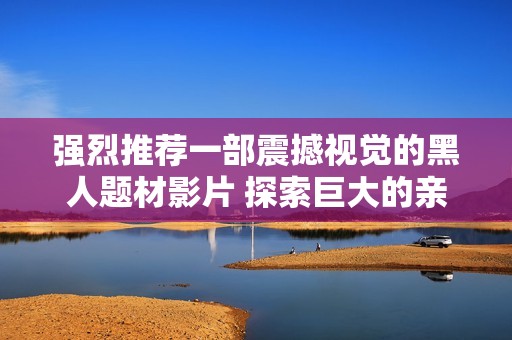 强烈推荐一部震撼视觉的黑人题材影片 探索巨大的亲密体验