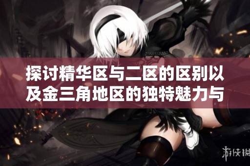 探讨精华区与二区的区别以及金三角地区的独特魅力与发展潜力