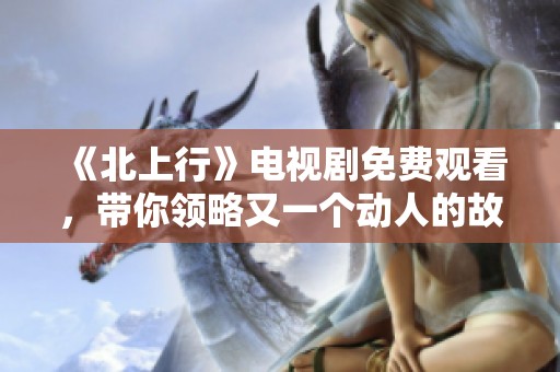 《北上行》电视剧免费观看，带你领略又一个动人的故事旅程