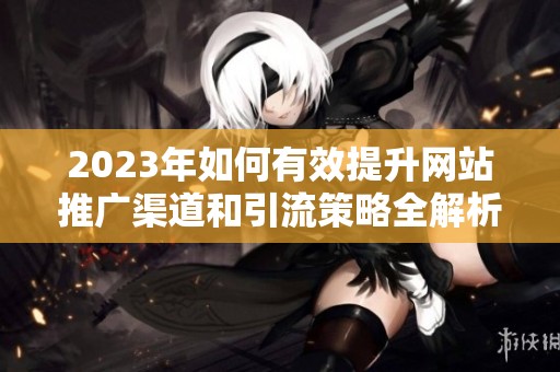 2023年如何有效提升网站推广渠道和引流策略全解析