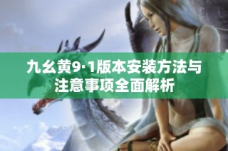 九幺黄9·1版本安装方法与注意事项全面解析