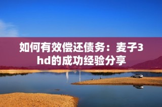 如何有效偿还债务：麦子3hd的成功经验分享