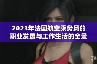 2023年法国航空乘务员的职业发展与工作生活的全景探索
