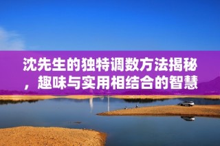 沈先生的独特调数方法揭秘，趣味与实用相结合的智慧之旅