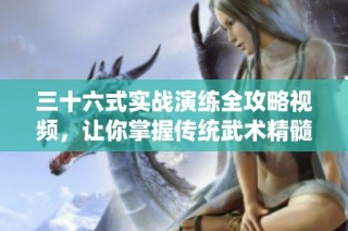 三十六式实战演练全攻略视频，让你掌握传统武术精髓