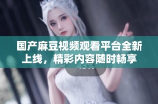 国产麻豆视频观看平台全新上线，精彩内容随时畅享
