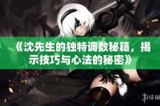 《沈先生的独特调数秘籍，揭示技巧与心法的秘密》