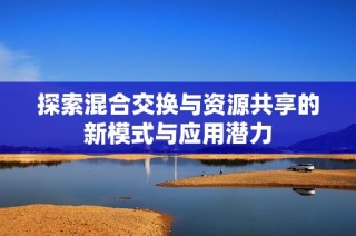 探索混合交换与资源共享的新模式与应用潜力