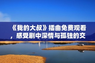 《我的大叔》插曲免费观看，感受剧中深情与孤独的交织。