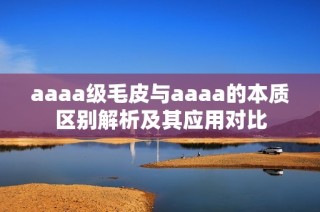 aaaa级毛皮与aaaa的本质区别解析及其应用对比
