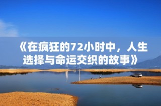 《在疯狂的72小时中，人生选择与命运交织的故事》